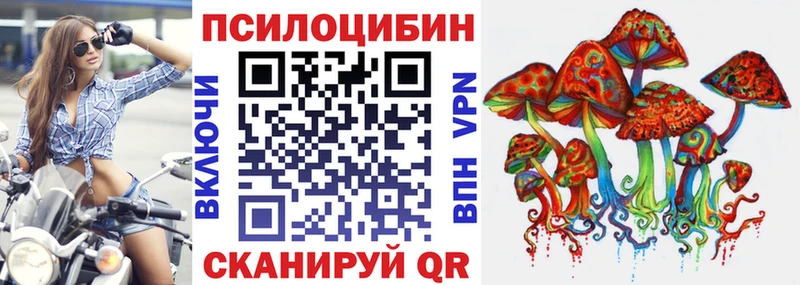как найти закладки  Волжский  Псилоцибиновые грибы ЛСД 